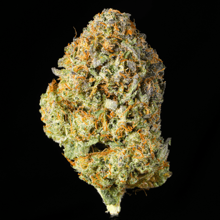 Cake Bomb THCA Flower - Lost In Translation