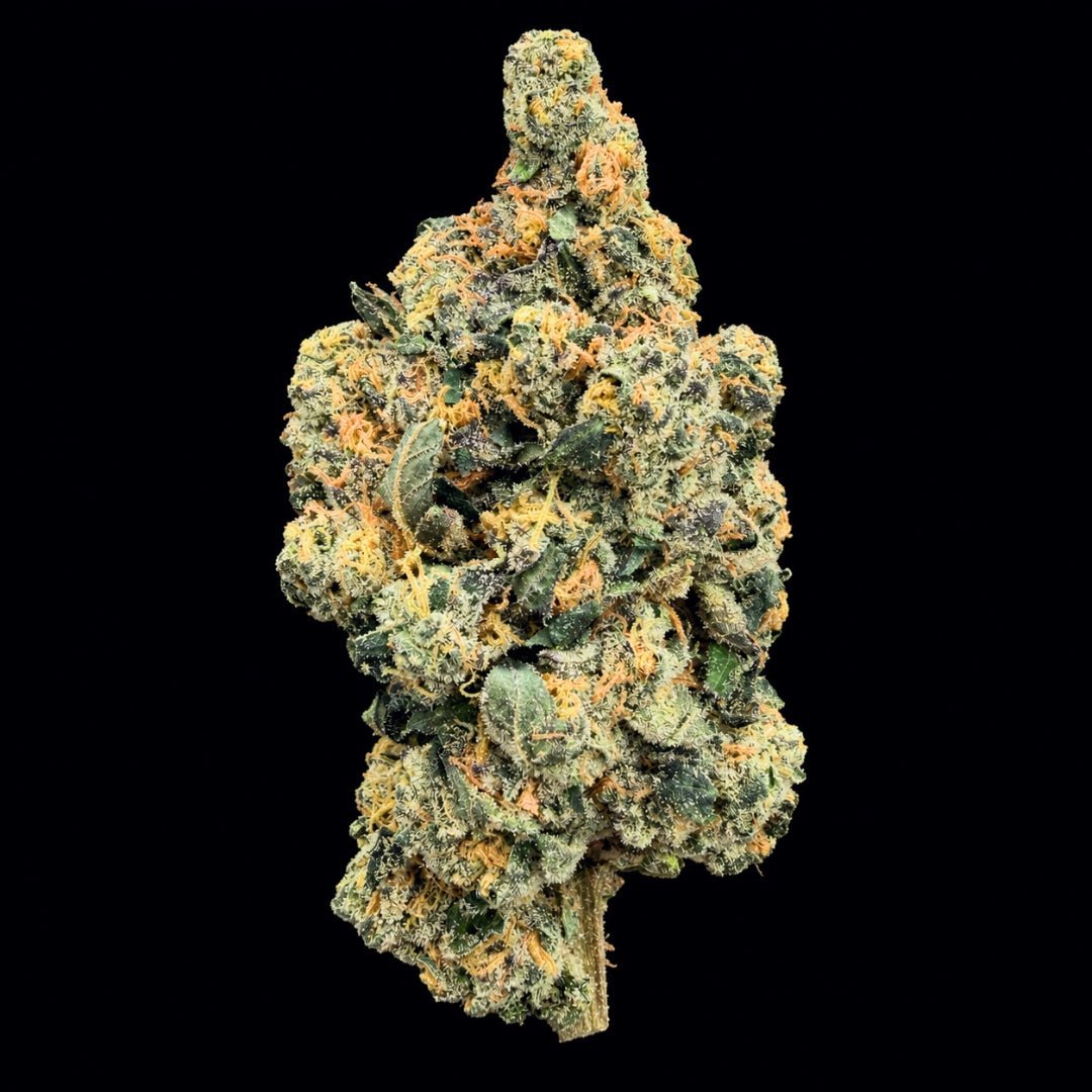 LIT OG THCA Flower - Lost In Translation