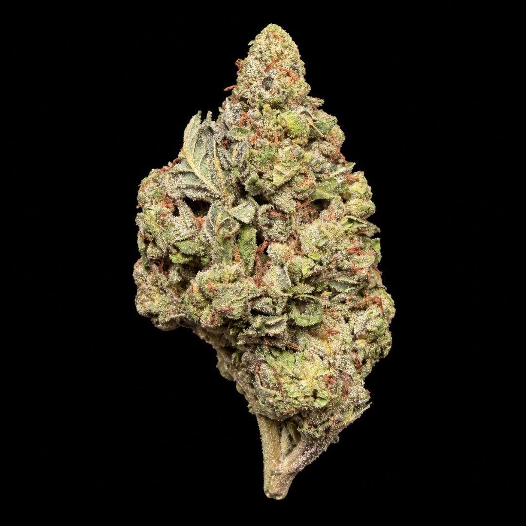 LIT OG THCA Flower - Lost In Translation