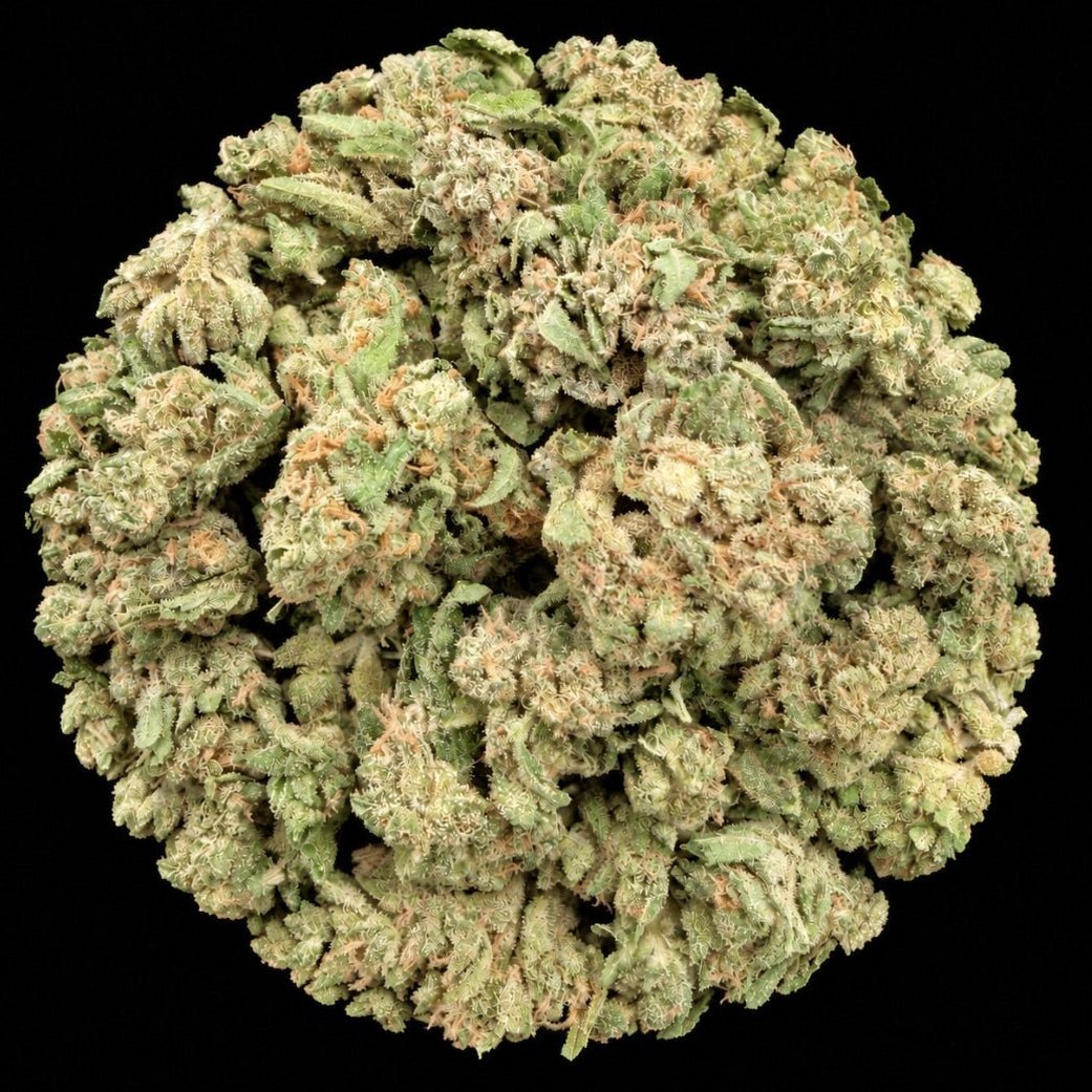 LIT OG THCA Flower - Lost In Translation