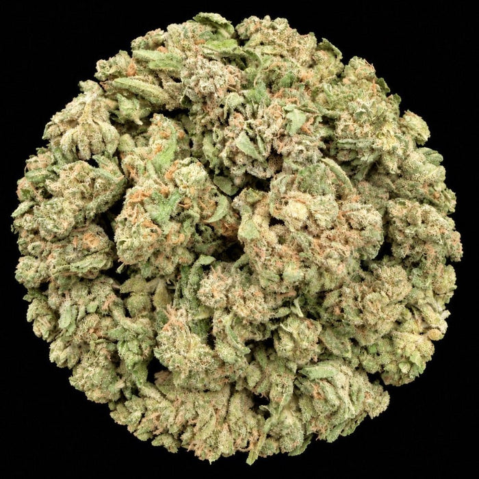 LIT OG THCA Flower - Lost In Translation