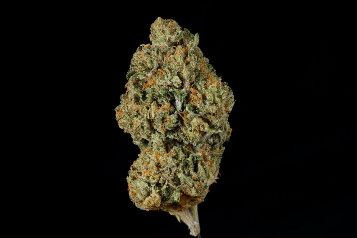 Lemon Cherry Gelato BX1 THCA Flower - Lost In Translation