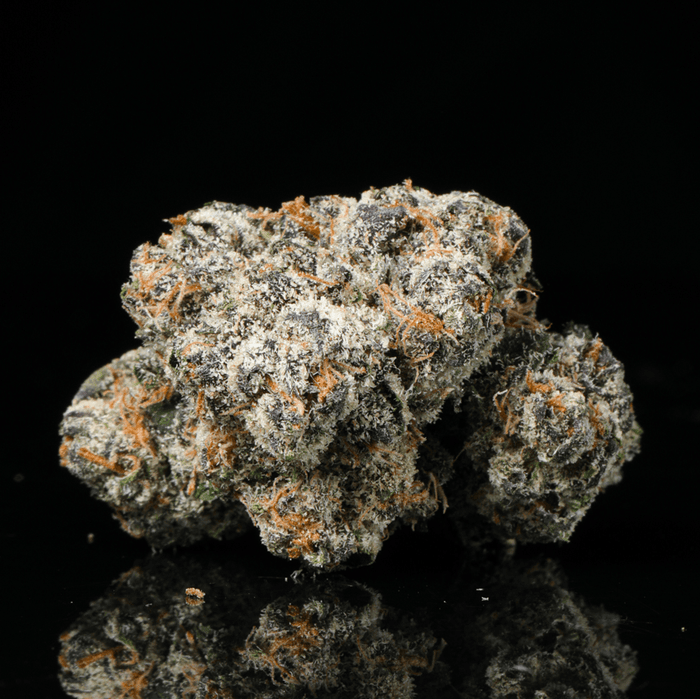 Rainbow Runtz THCA Flower - Lost In Translation