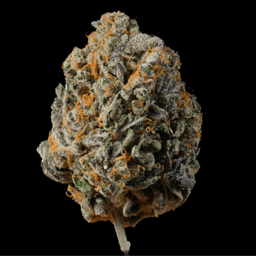 Ice Cream Cake THCA Flower - Lost In Translation