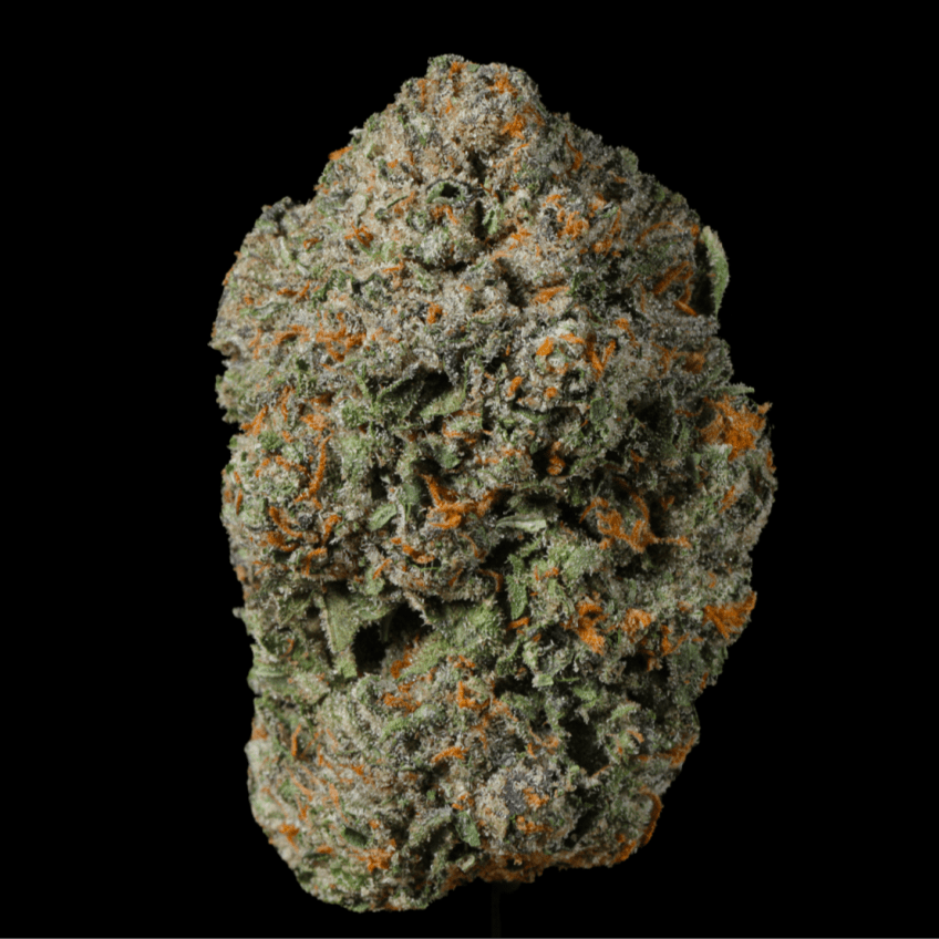Green Crack THCA Flower – Lost In Translation Green Crack THCA Flower – Lost In Translation