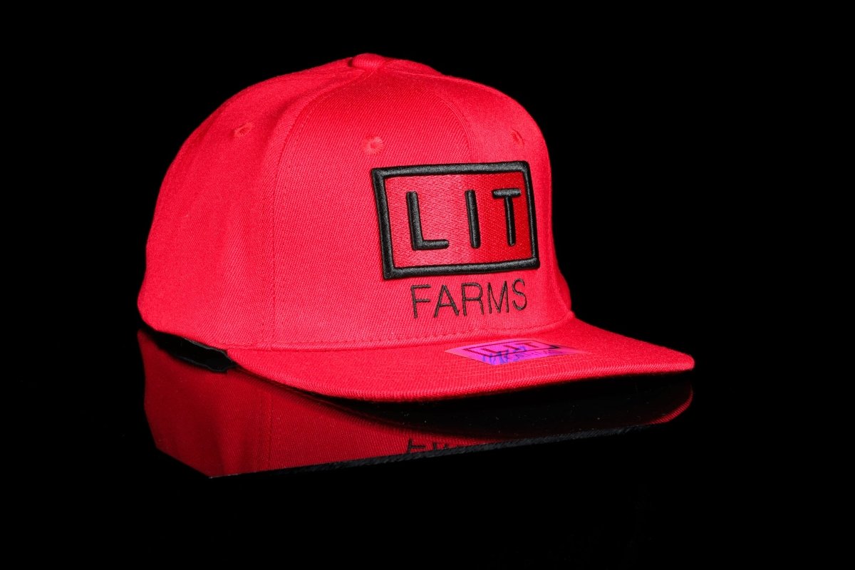 Red LIT Logo Hat - Lost In Translation