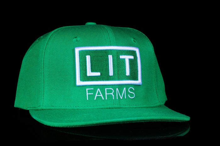 Green LIT Logo Hat - Lost In Translation