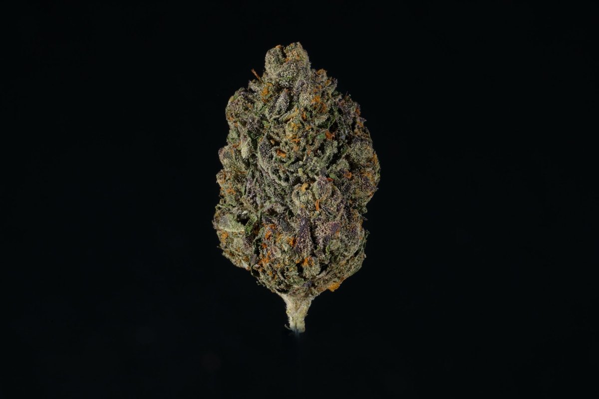 Purple Candy THCA Flower - Lost In Translation