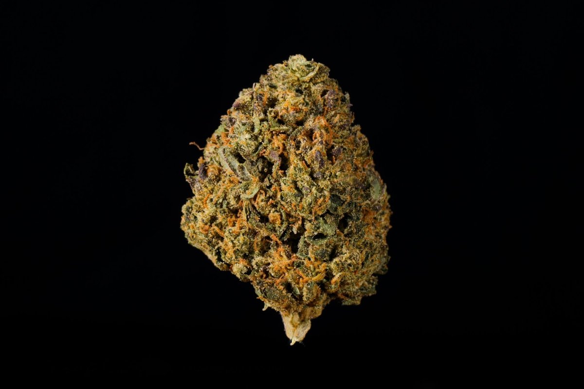 Temptation THCA Flower - Lost In Translation