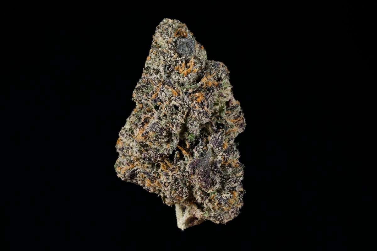 White Linen THCA Flower - Lost In Translation