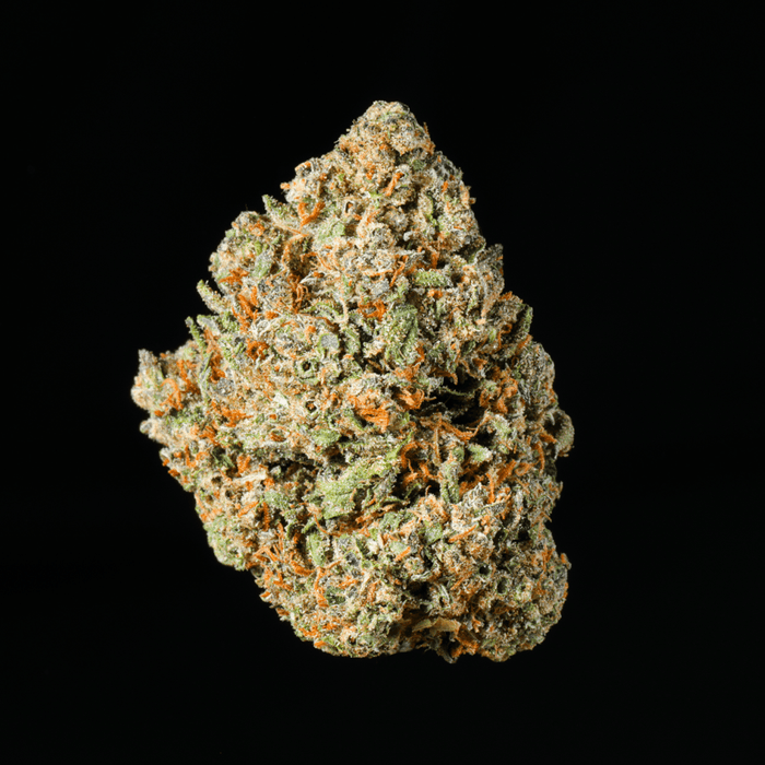 Formula One THCA Flower - Lost In Translation