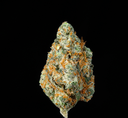 GMO THCA Flower