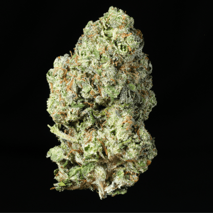 Green Crack THCA Flower – Lost In Translation Green Crack THCA Flower – Lost In Translation