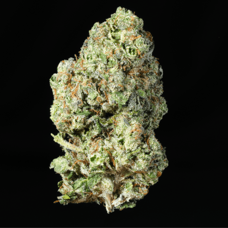 Green Crack THCA Flower - Lost In Translation