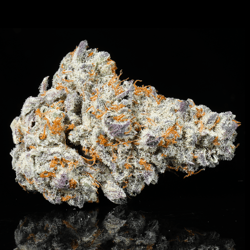 Frozen Lemonade THCA Flower - Lost In Translation