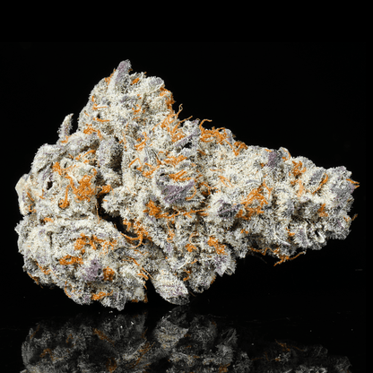 Frozen Lemonade THCA Flower - Lost In Translation