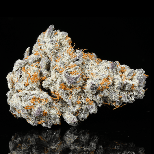 Frozen Lemonade THCA Flower - Lost In Translation