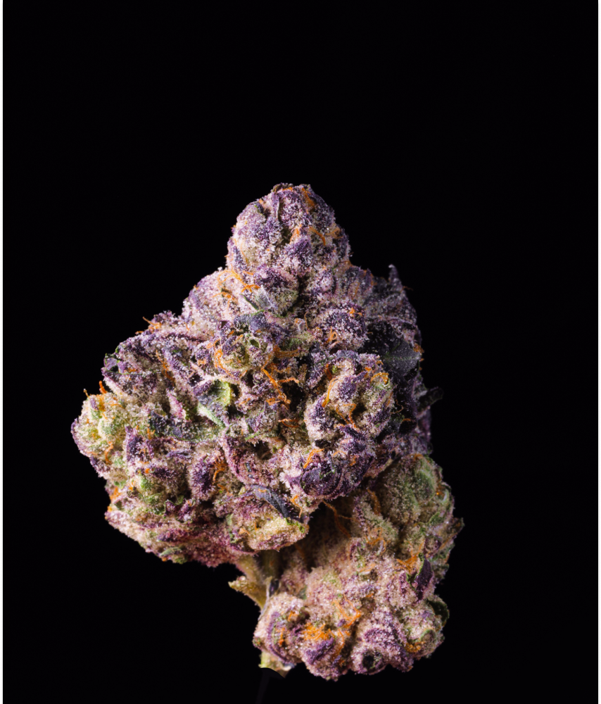 Bangkok Purple THCA Flower