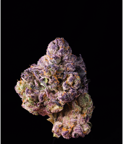 Bangkok Purple THCA Flower