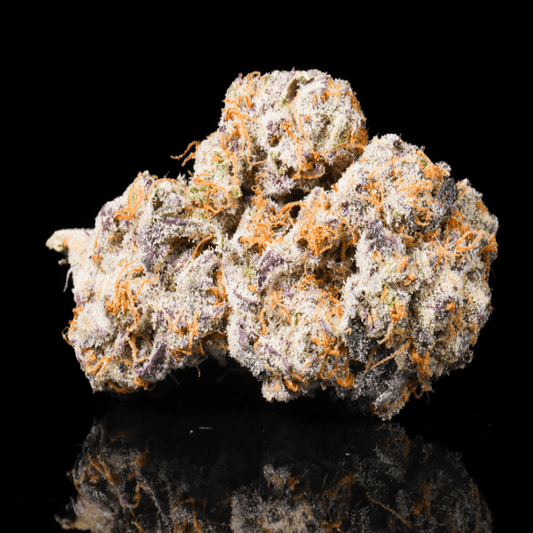 Fight Club THCA Flower - Lost In Translation