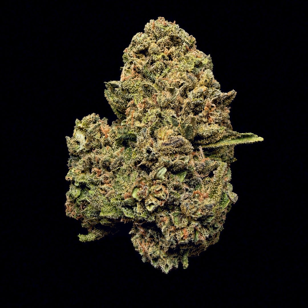 London Fog THCA Flower - Lost In Translation
