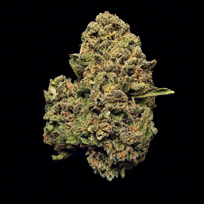 London Fog THCA Flower - Lost In Translation