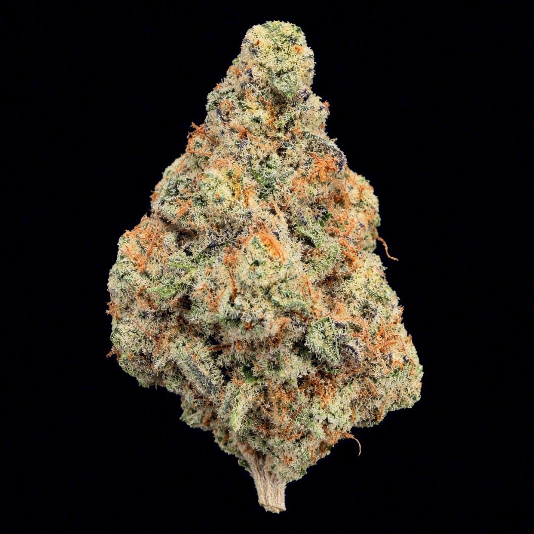MAC1 THCA Flower - Lost In Translation