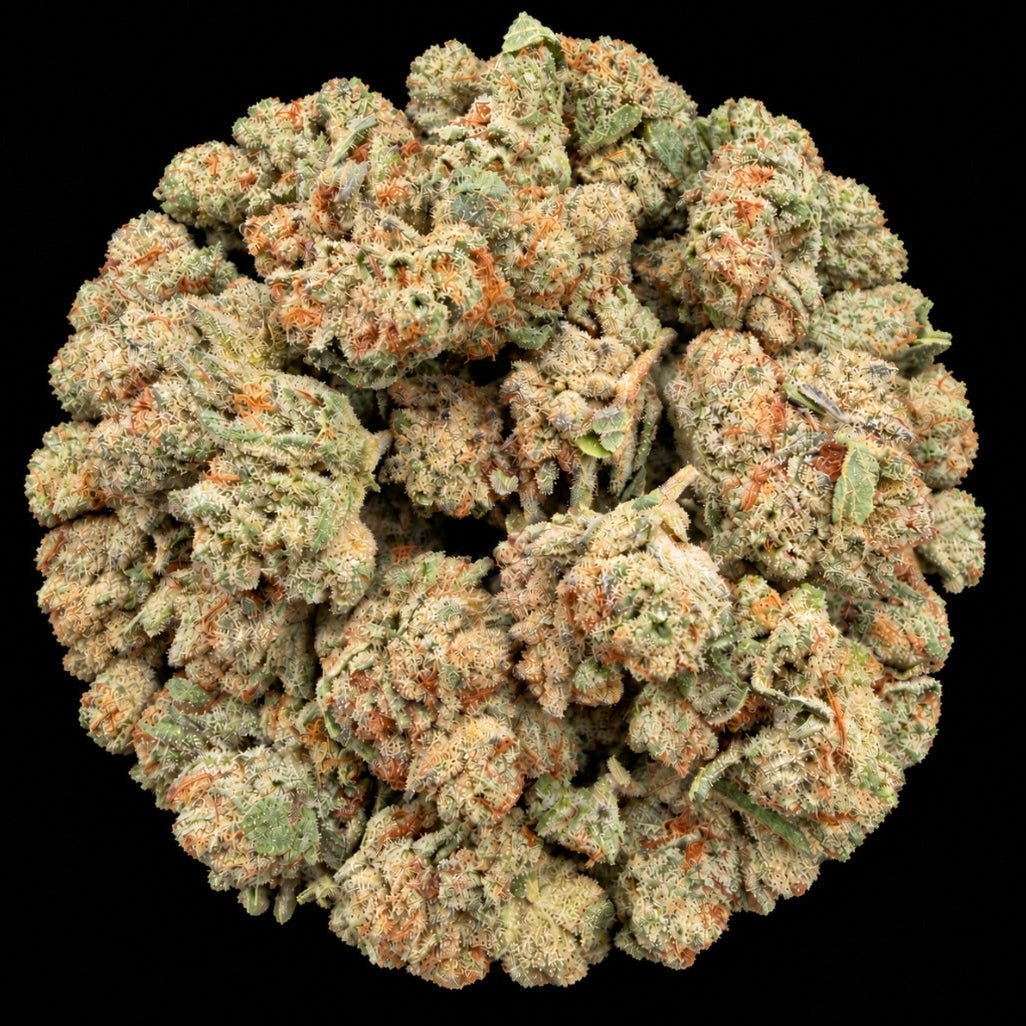 Mango Runtz THCA Flower - Lost In Translation