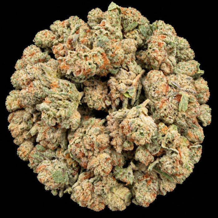 Mango Runtz THCA Flower - Lost In Translation