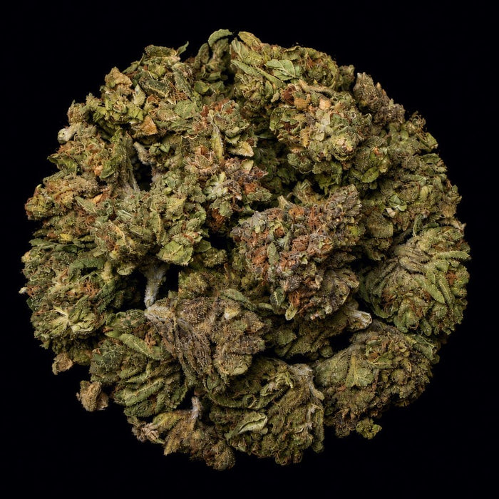Mendo Breath THCA Flower - Lost In Translation