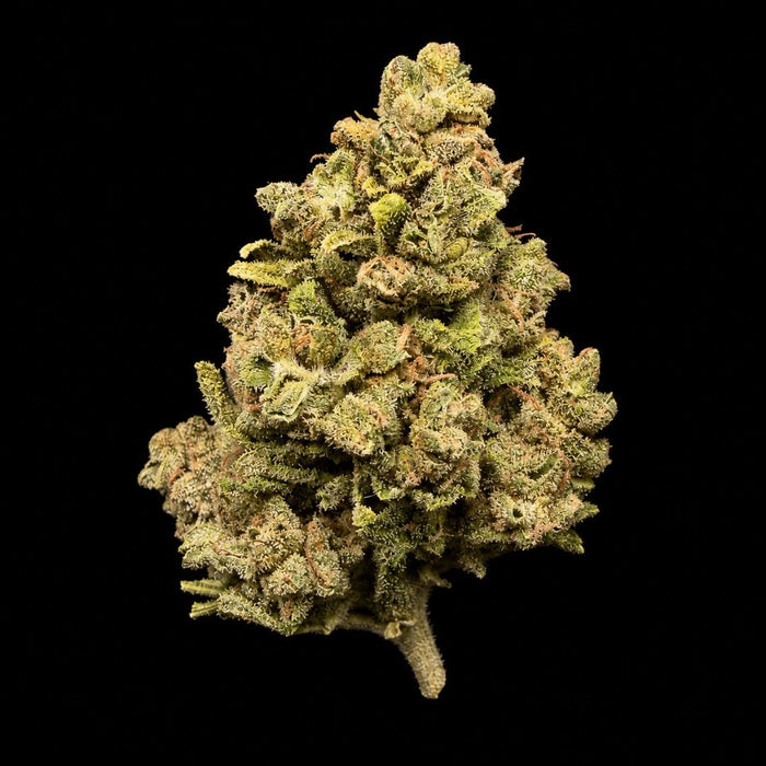 Mendo Breath THCA Flower - Lost In Translation