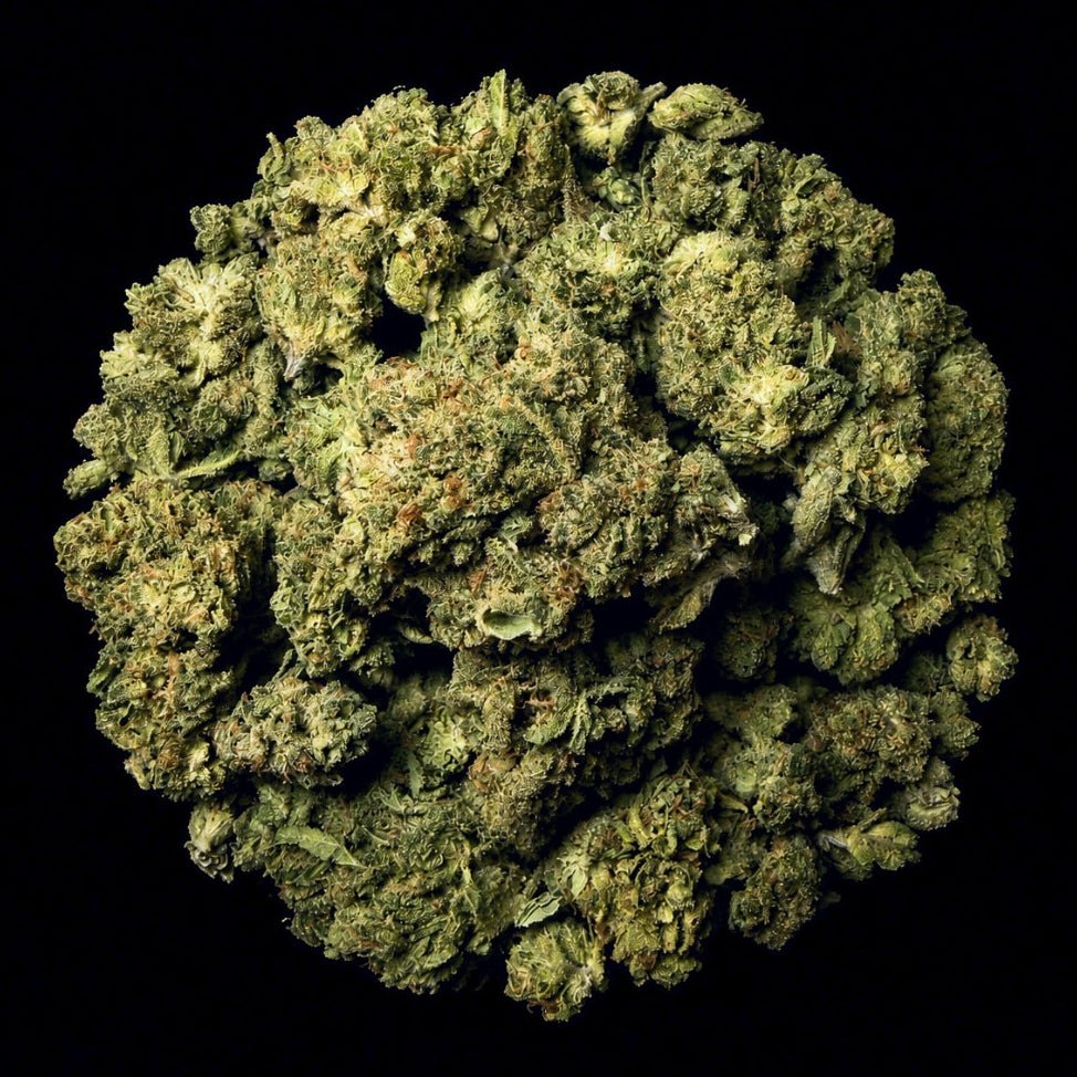 Mile High Slurpee THCA Flower - Lost In Translation