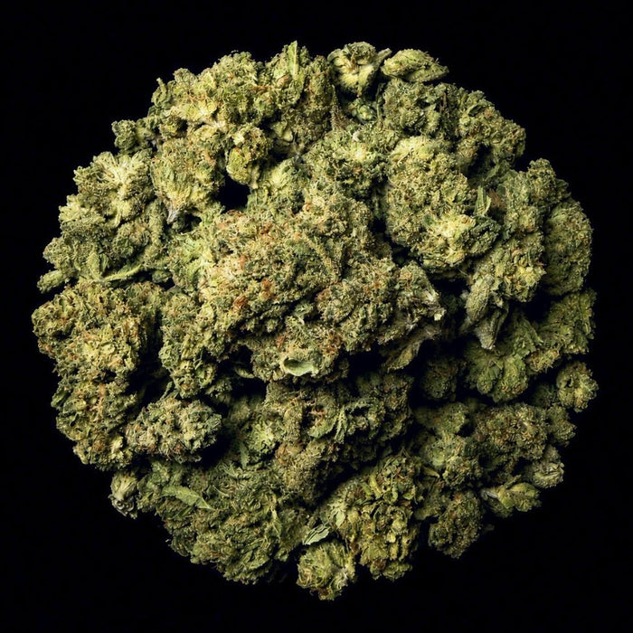 Mile High Slurpee THCA Flower - Lost In Translation