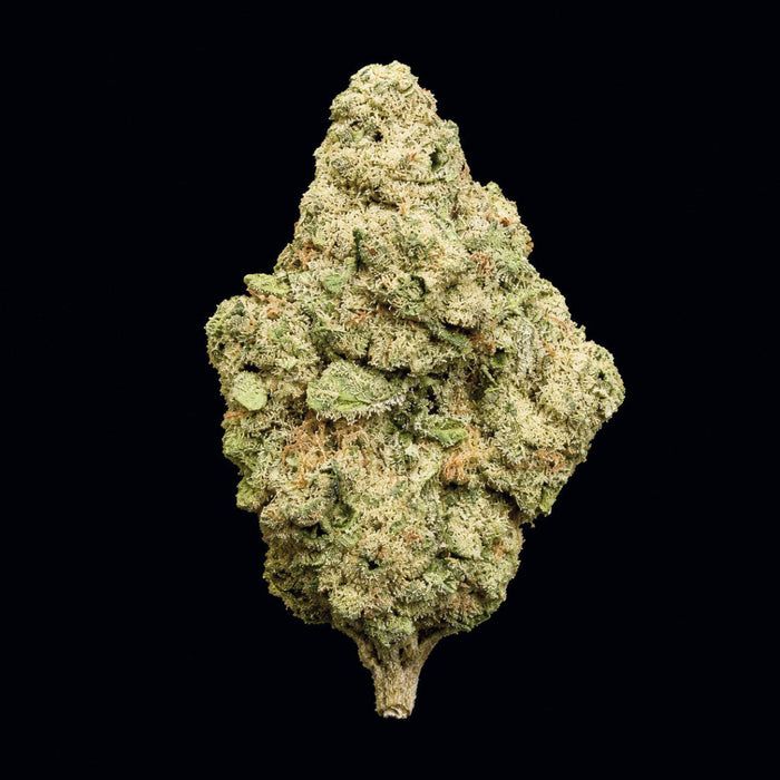 Mile High Slurpee THCA Flower - Lost In Translation