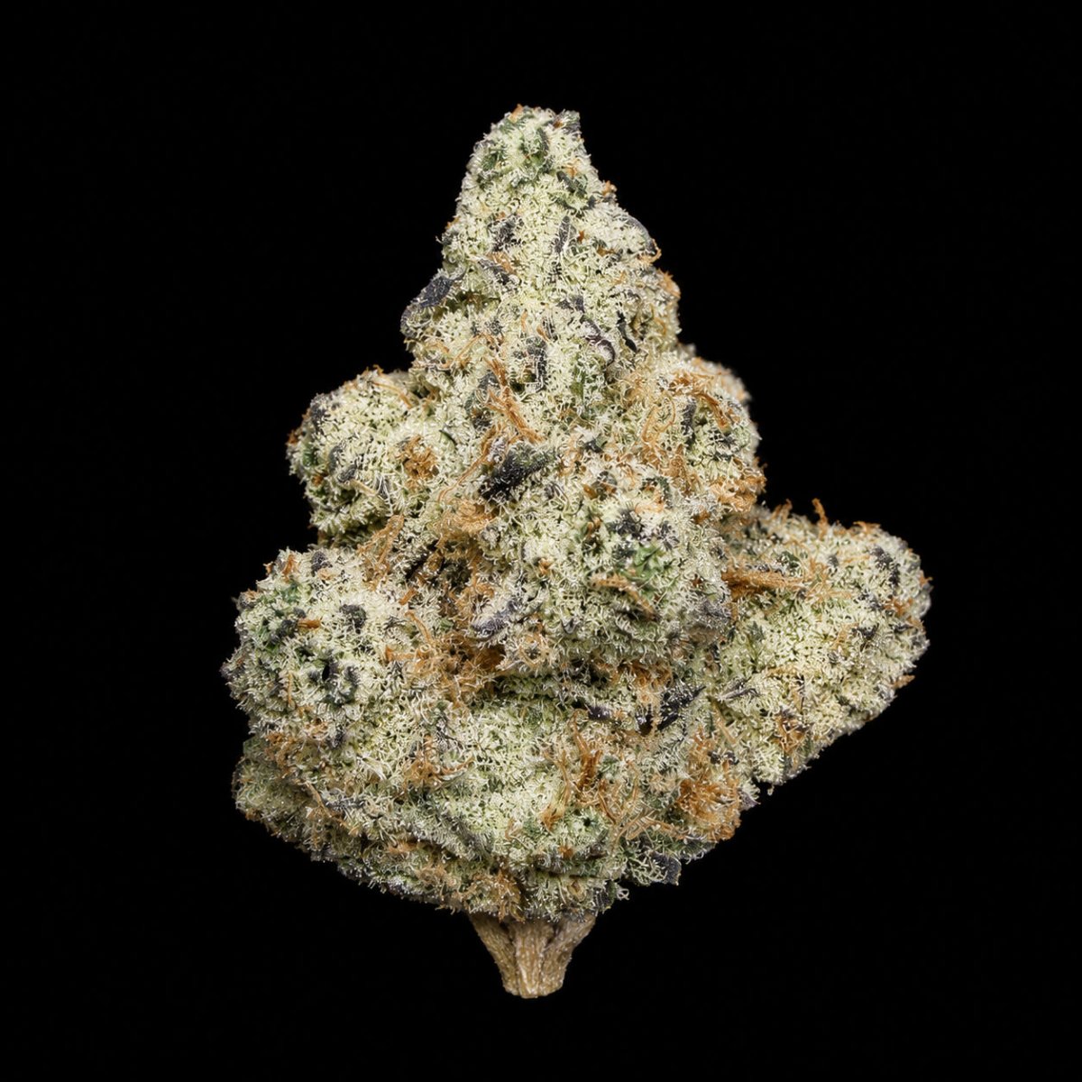 Mile High Slurpee THCA Flower - Lost In Translation