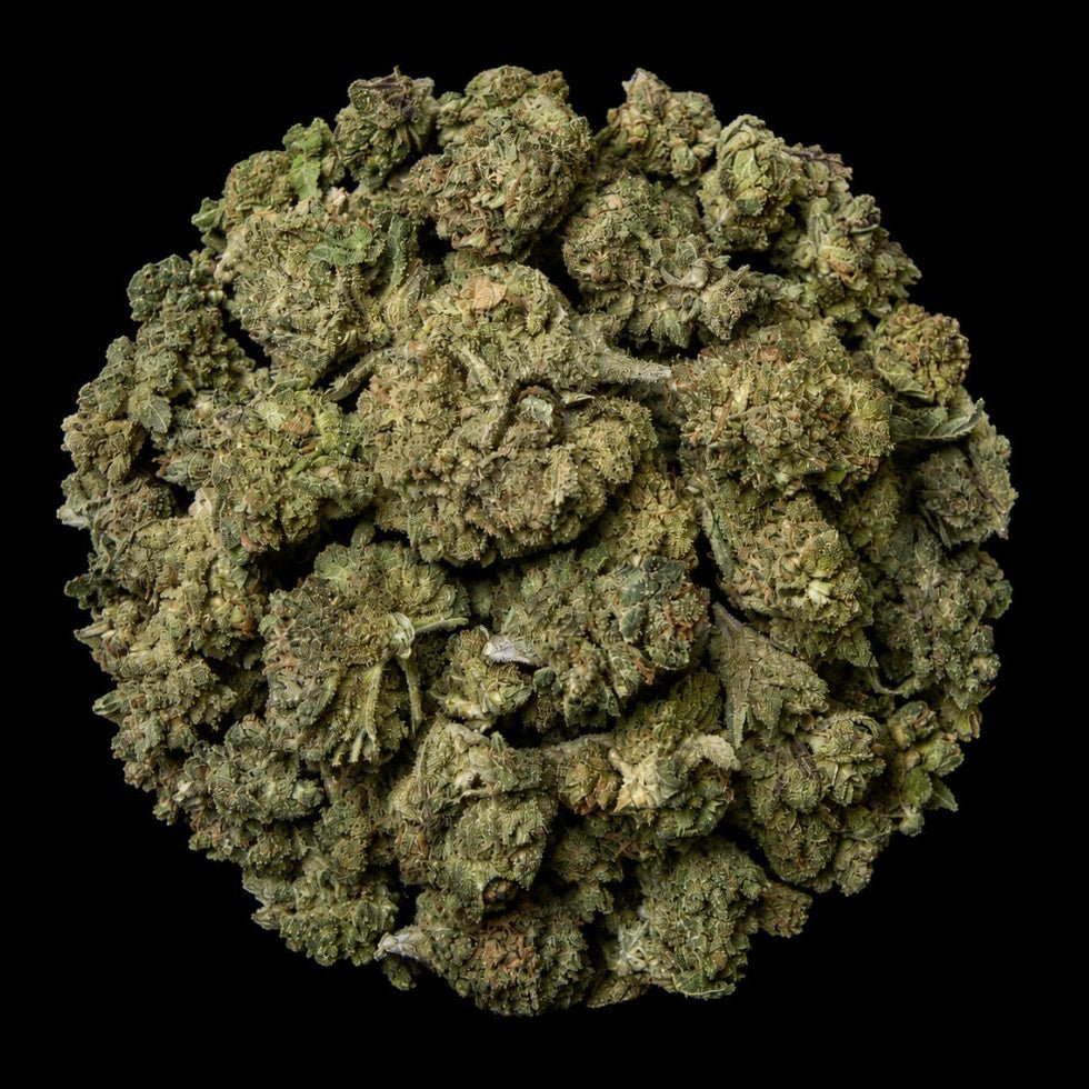 Mule Fuel THCA Flower - Lost In Translation