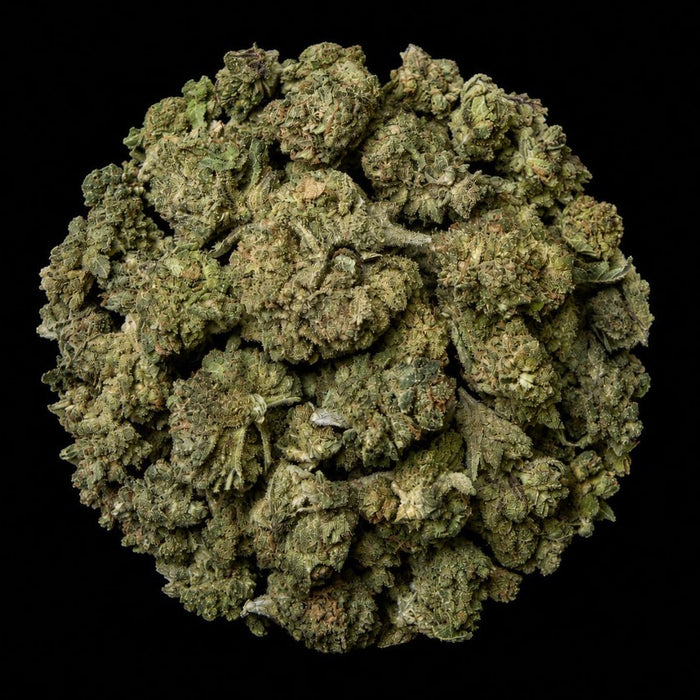 Mule Fuel THCA Flower - Lost In Translation