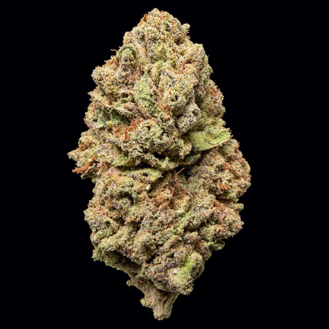 Oakland Runtz THCA Flower - Lost In Translation