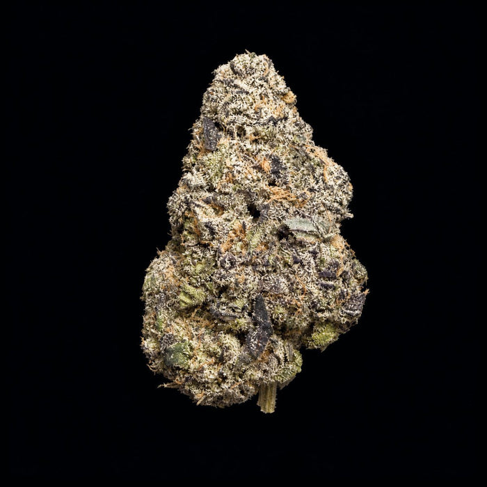 Oakland Runtz THCA Flower - Lost In Translation