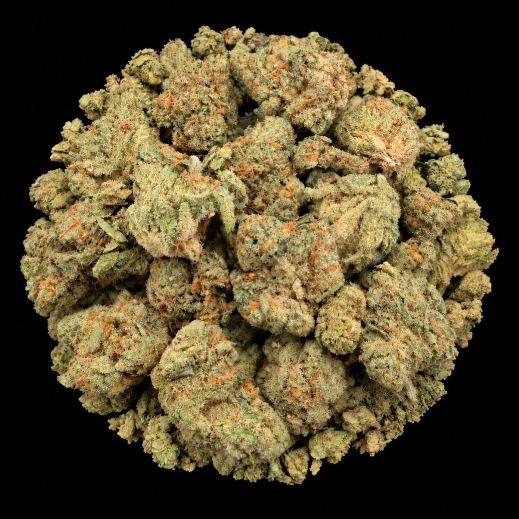Obama Runtz THCA Flower - Lost In Translation