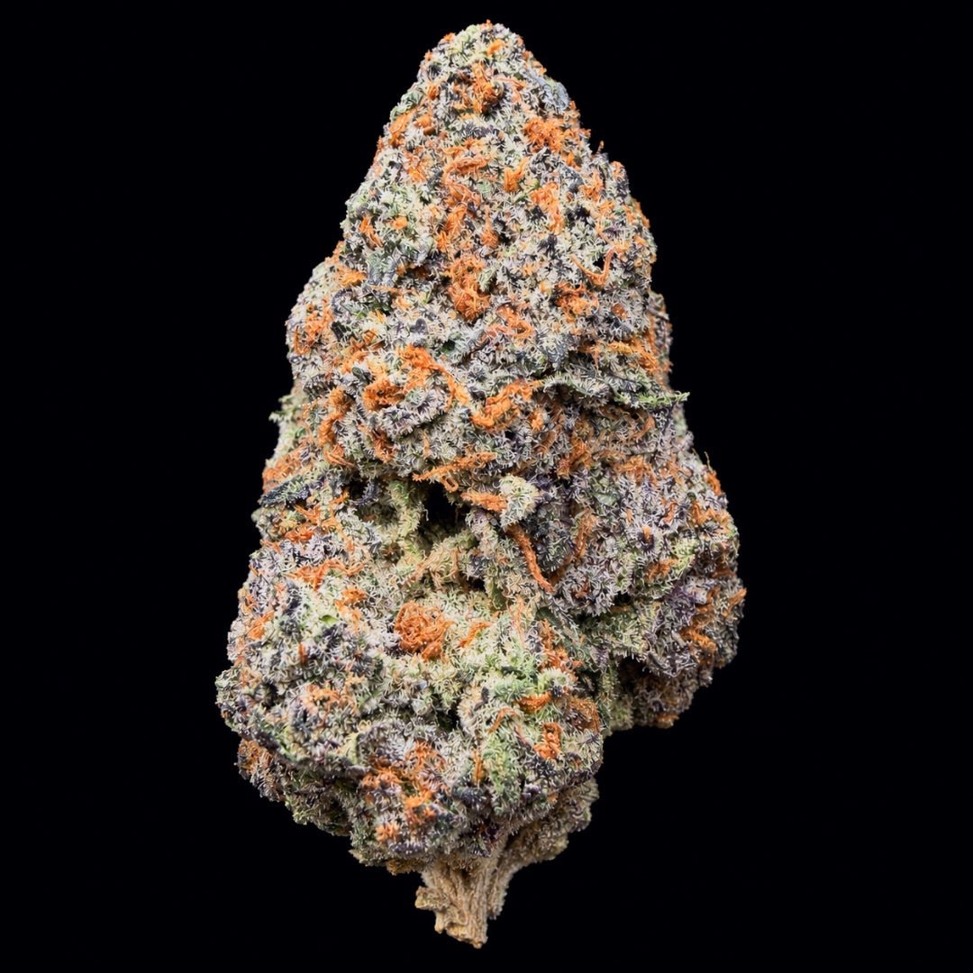 Obama Runtz THCA Flower - Lost In Translation