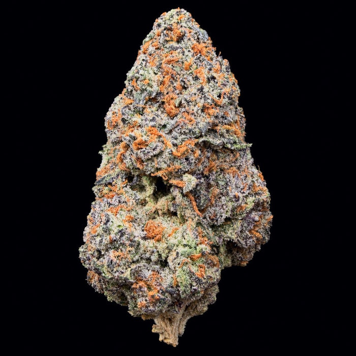 Obama Runtz THCA Flower - Lost In Translation