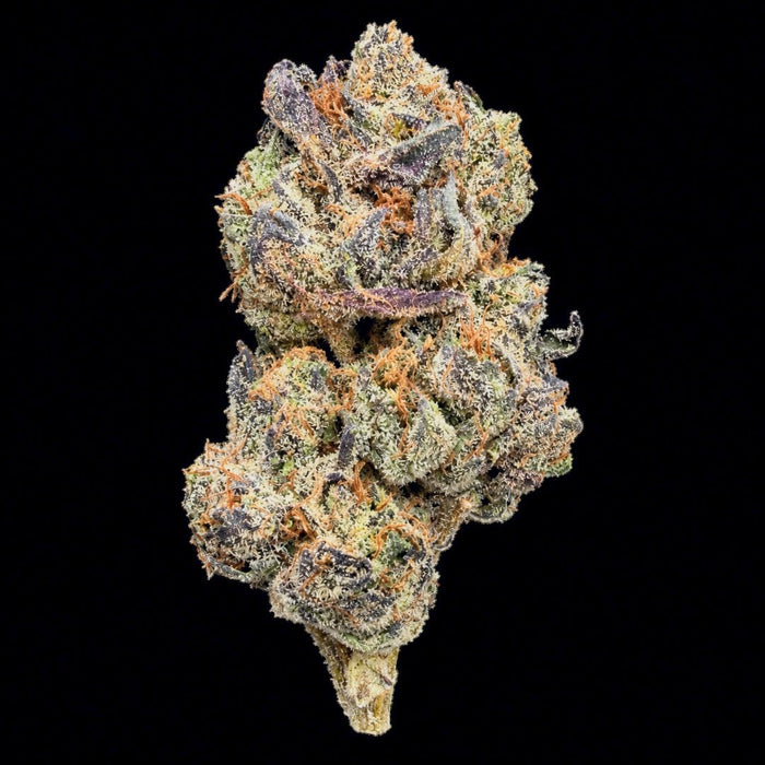 Obama Runtz THCA Flower - Lost In Translation