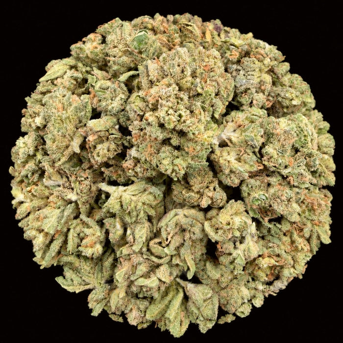 Petrol Pie THCA Flower