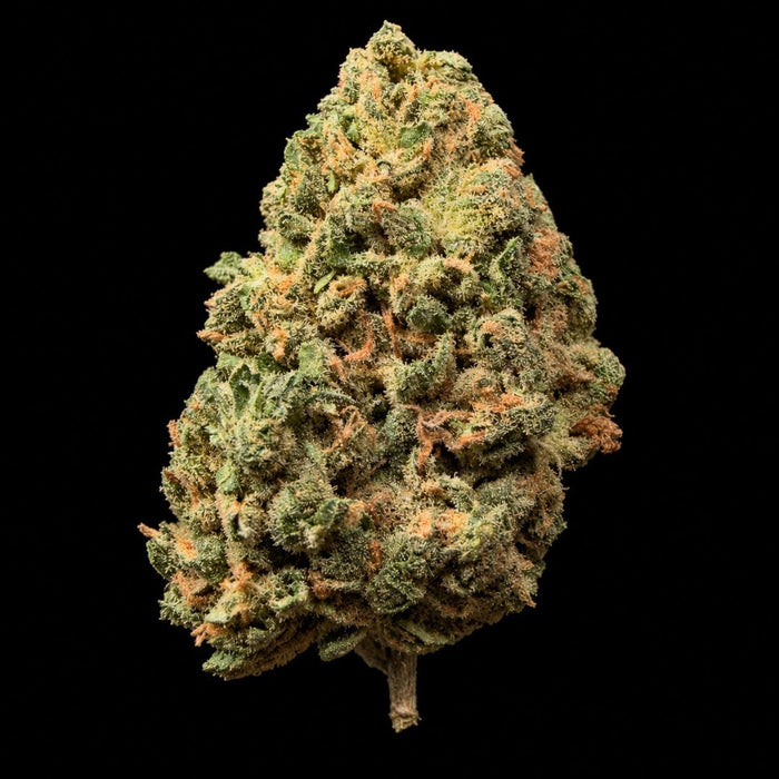 Petrol Pie THCA Flower - Lost In Translation