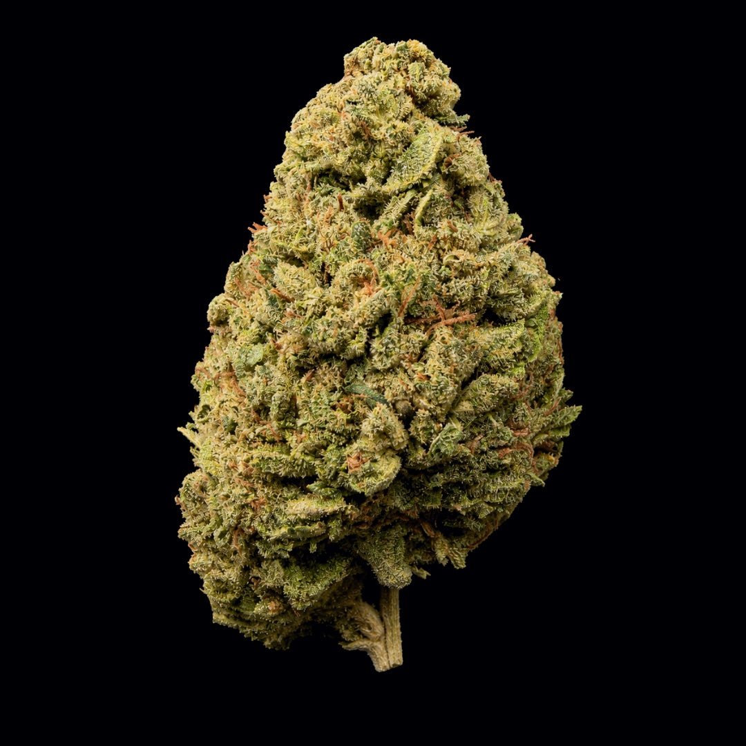 Petrol Pie THCA Flower - Lost In Translation