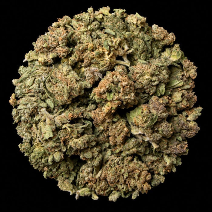 Pineapple Zoap THCA Flower - Lost In Translation