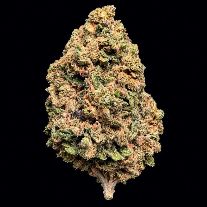 Pink Certz THCA Flower - Lost In Translation
