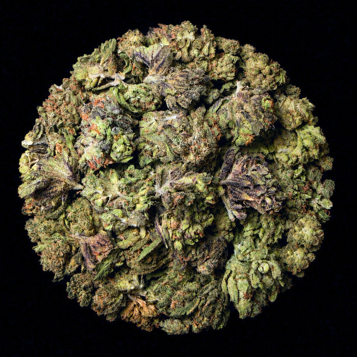 Pink Panties THCA Flower