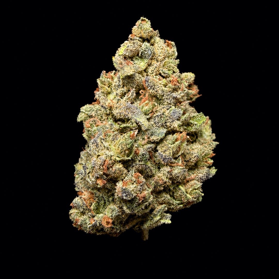 Pink Rosay THCA Flower - Lost In Translation